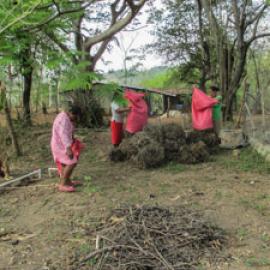 Fabricación de Abono Orgánico en Mt. Solar
